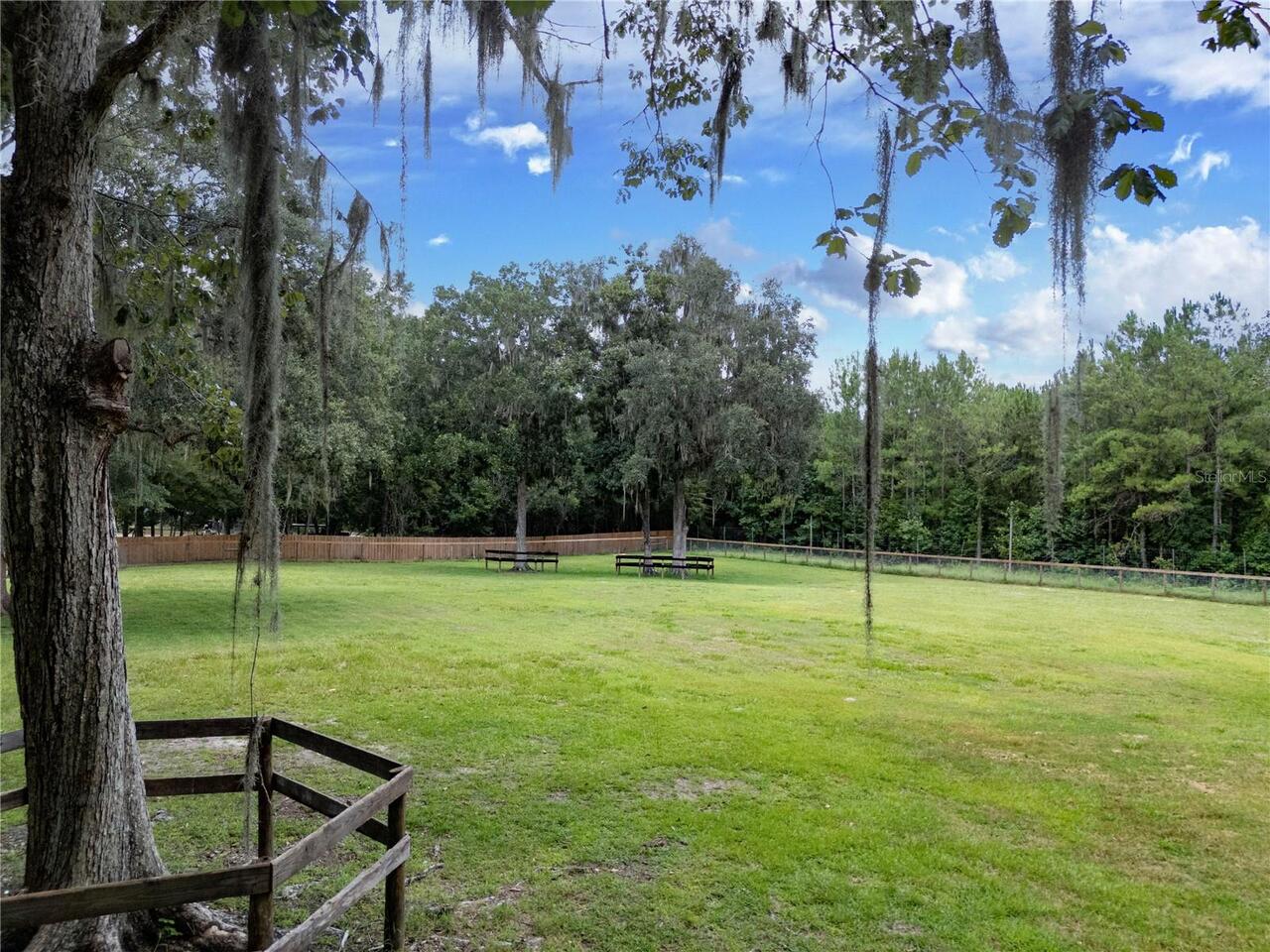Listing Photo 67