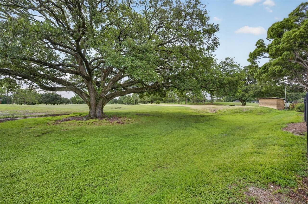 Listing Photo 45
