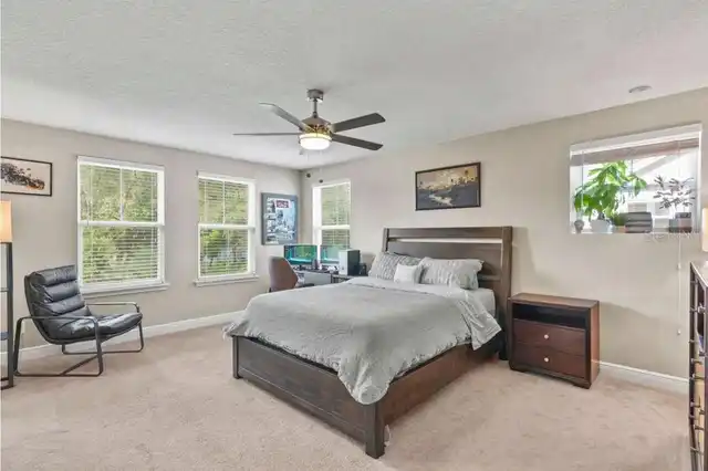 Listing Photo 14