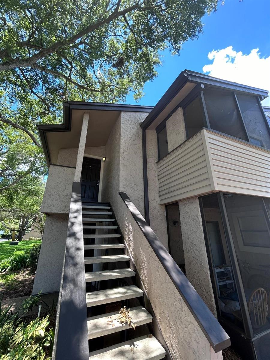 Winter Park Real Estate