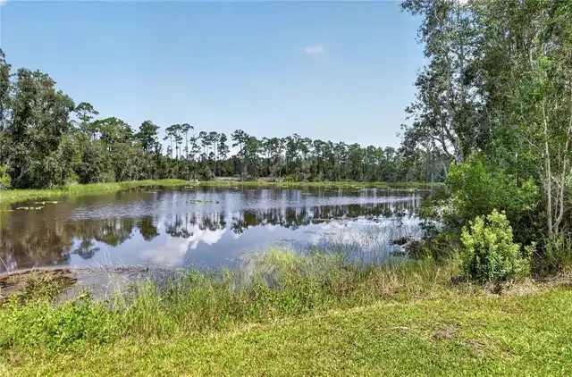 Listing Photo 46