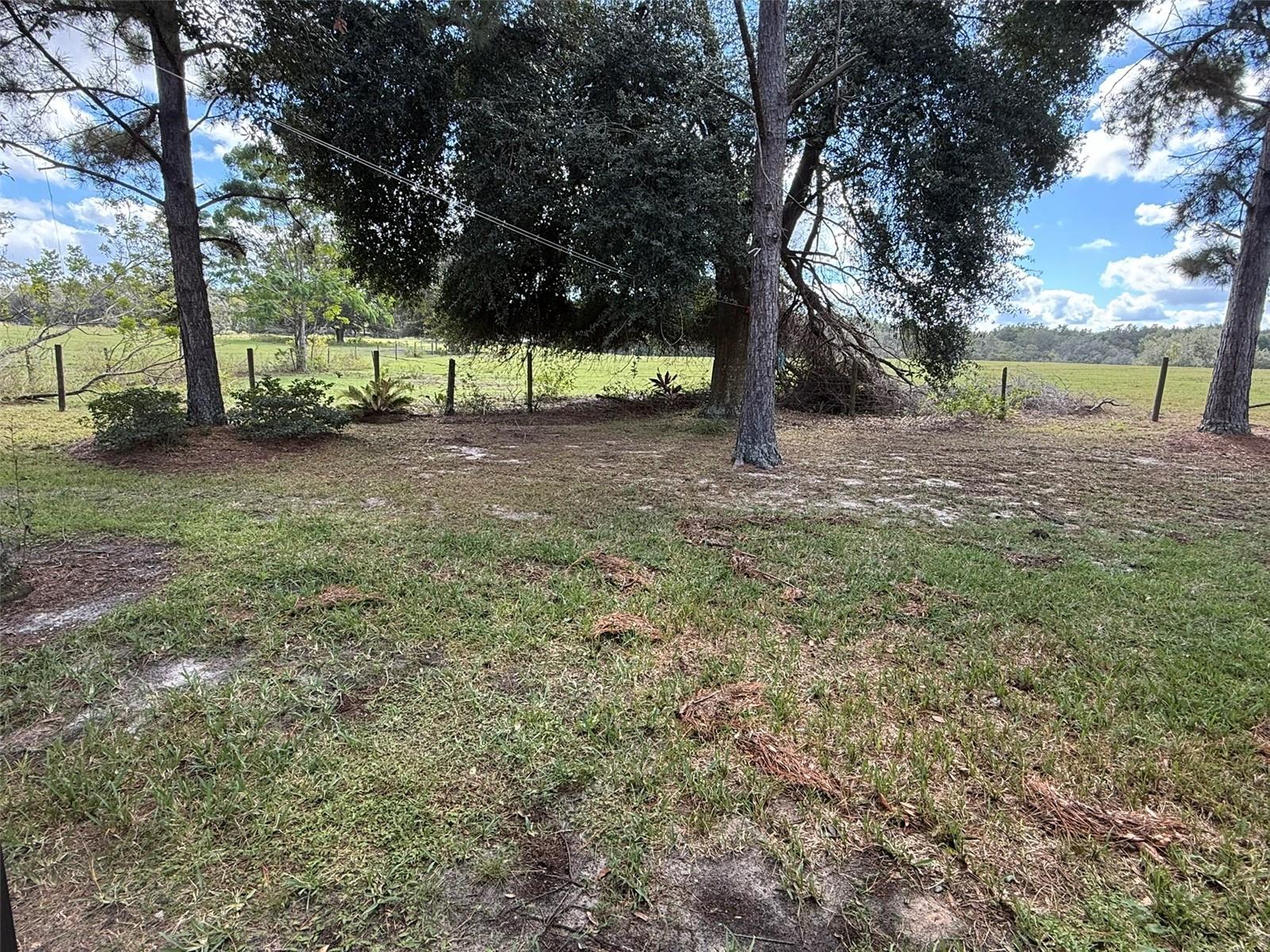 Listing Photo 25