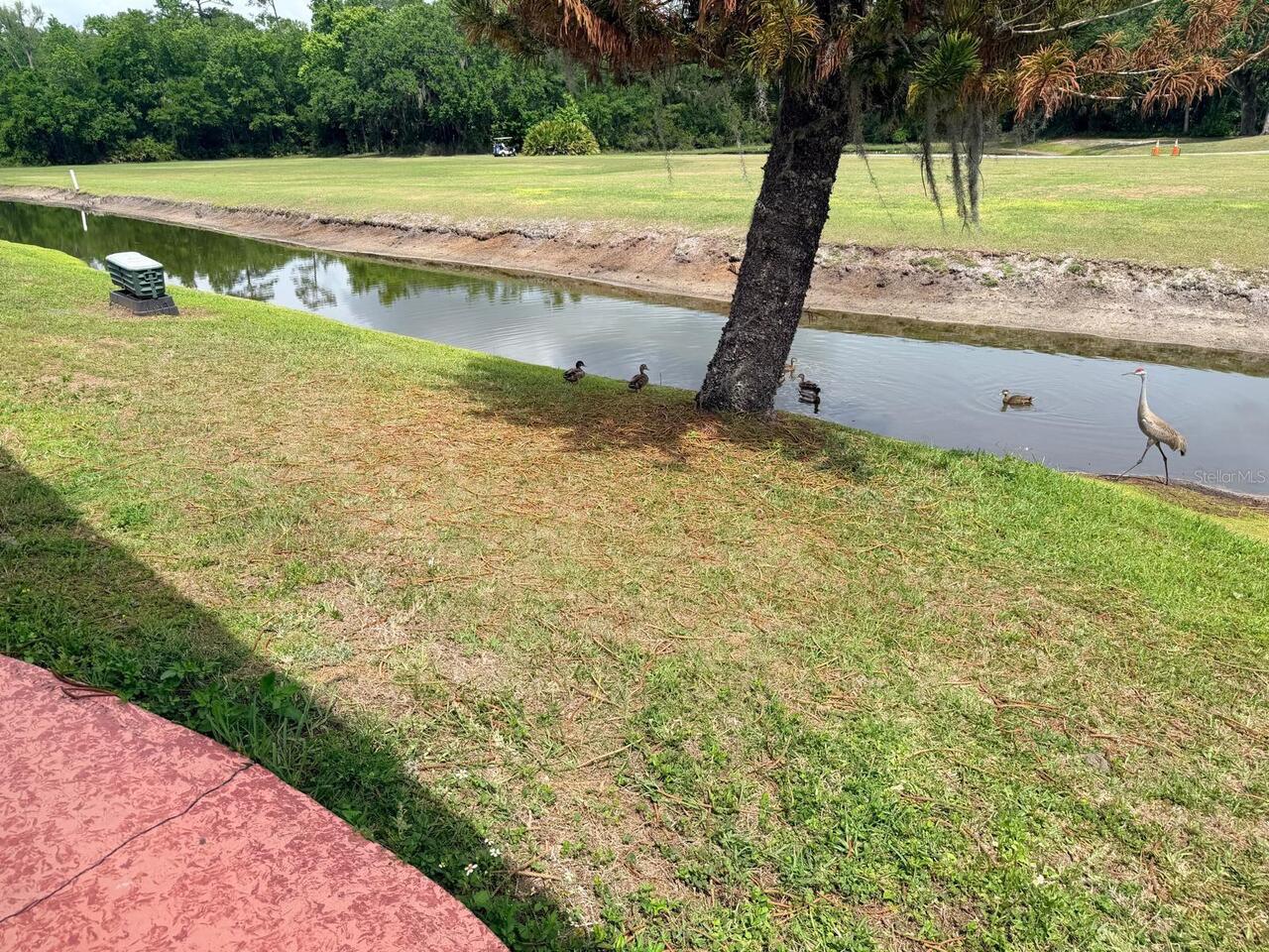 Listing Photo 9