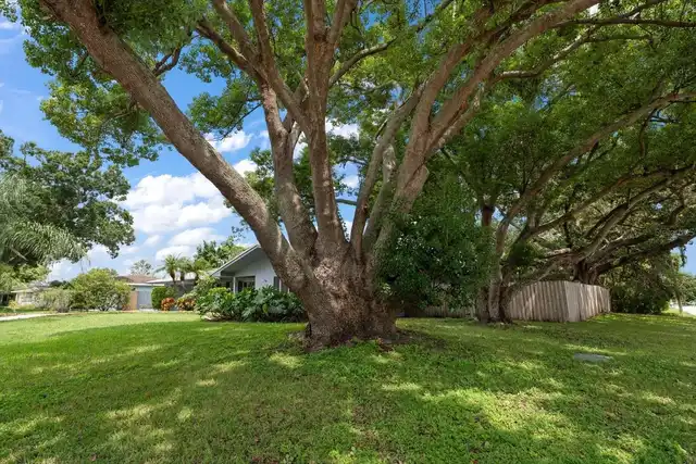 Listing Photo 44