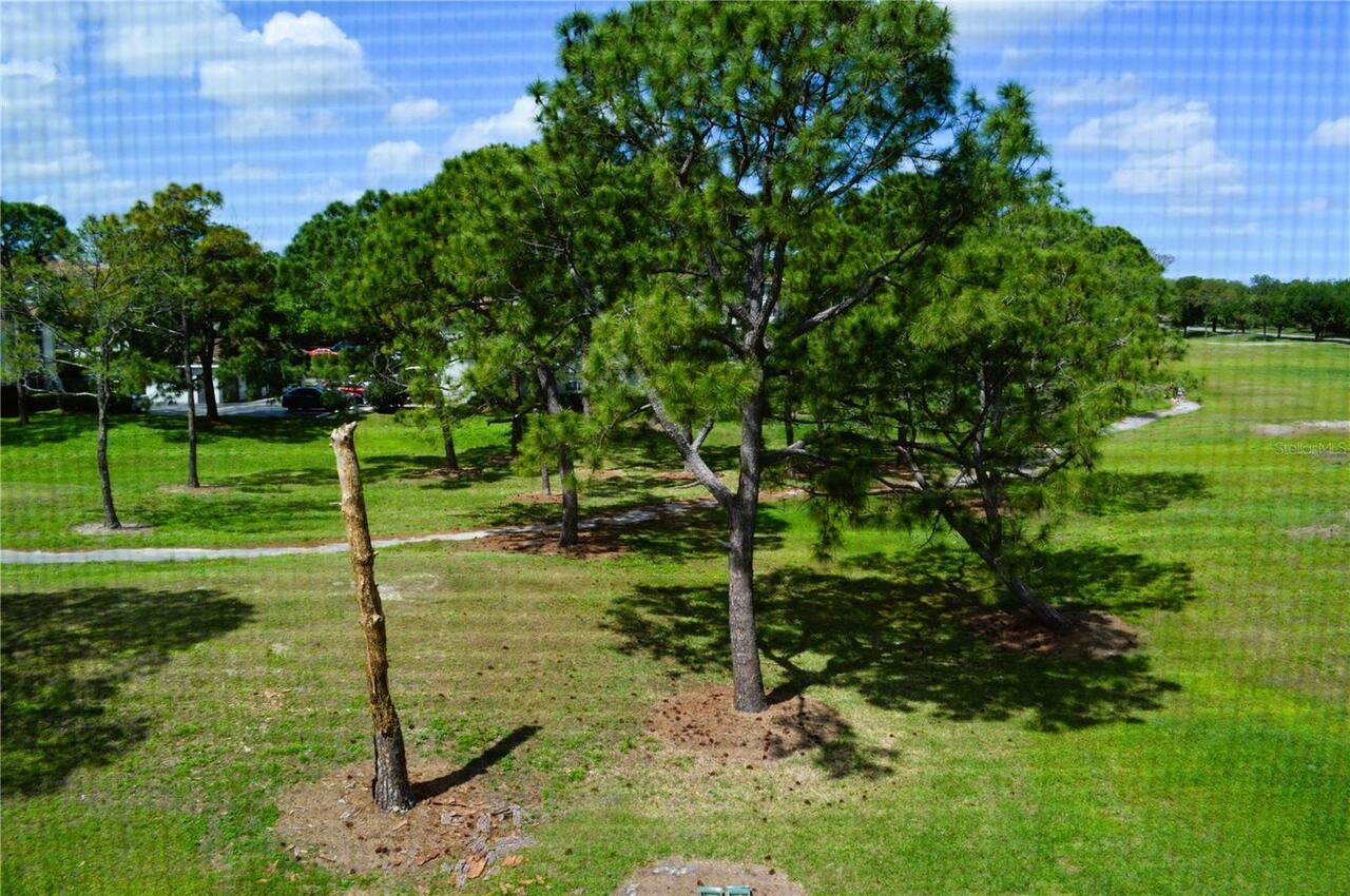 Listing Photo 39