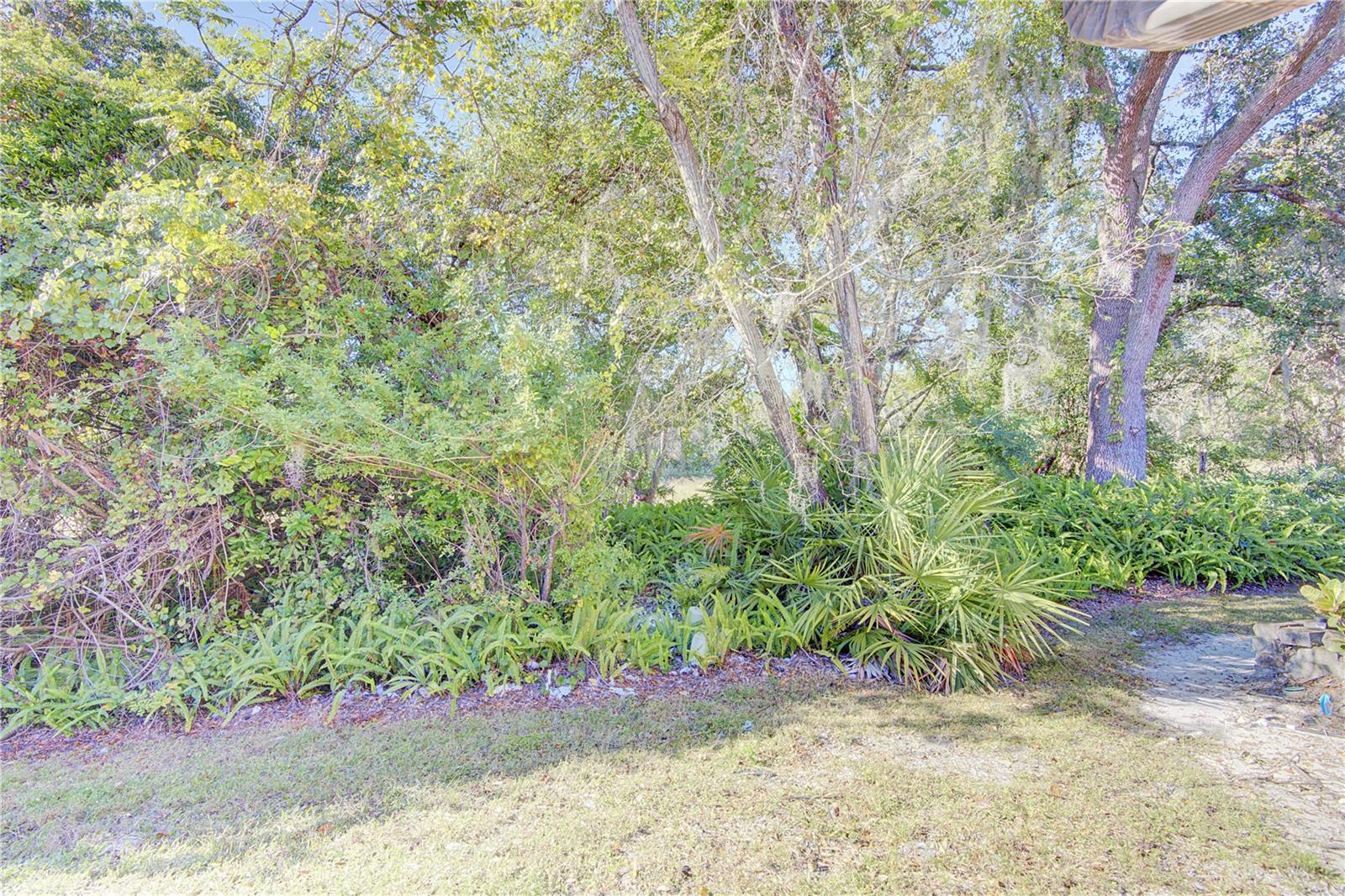 Listing Photo 28