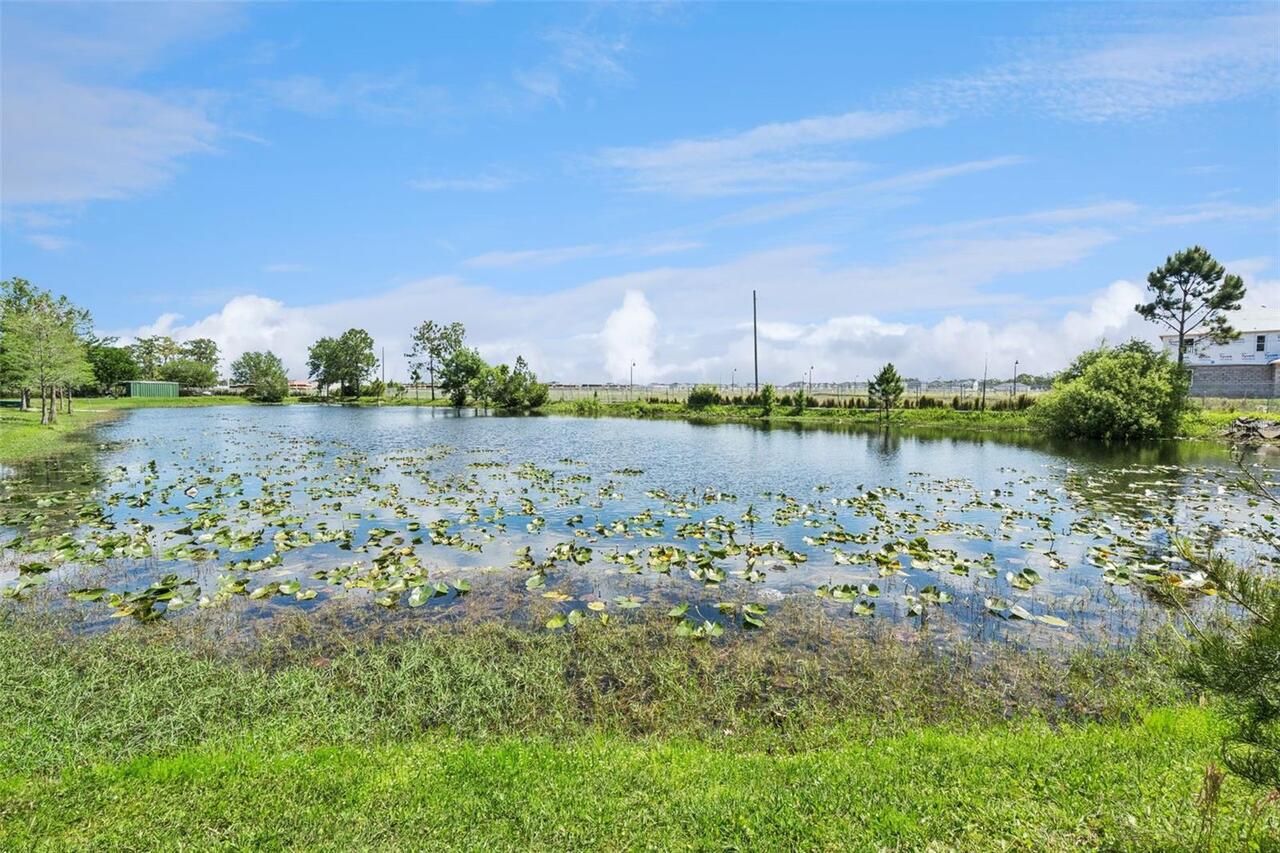 Listing Photo 64