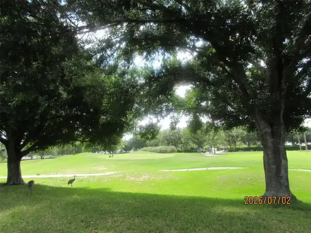 Listing Photo 33