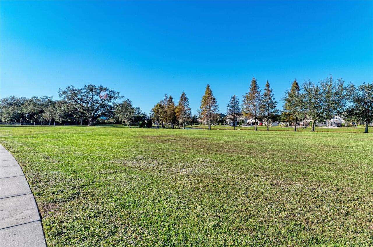 Listing Photo 81