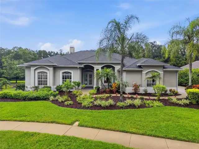 Palm Harbor Real Estate