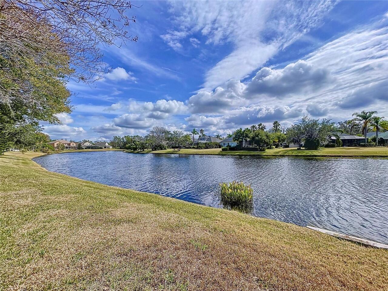 Listing Photo 72