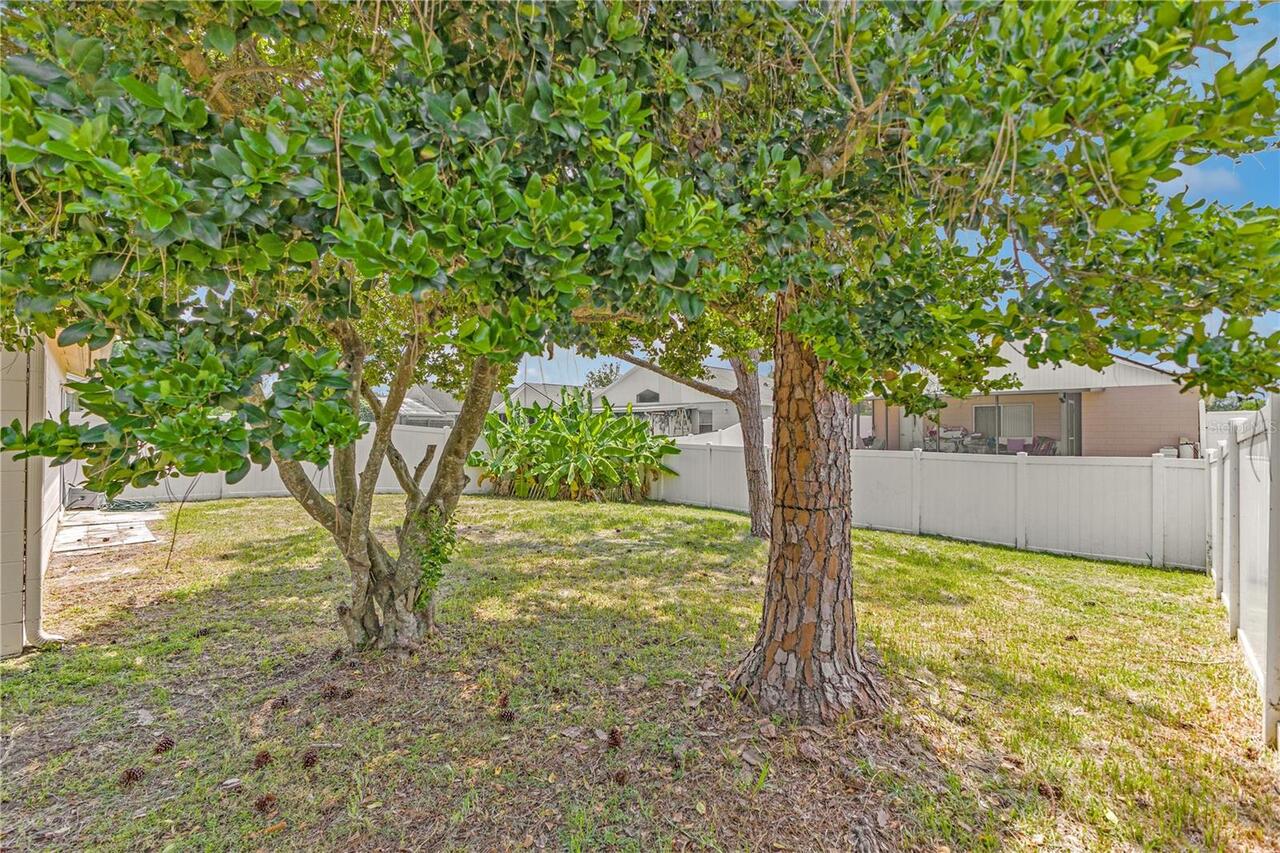 Listing Photo 23