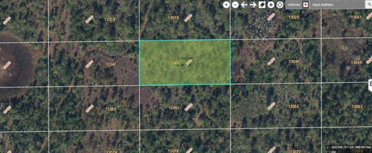 View Listing