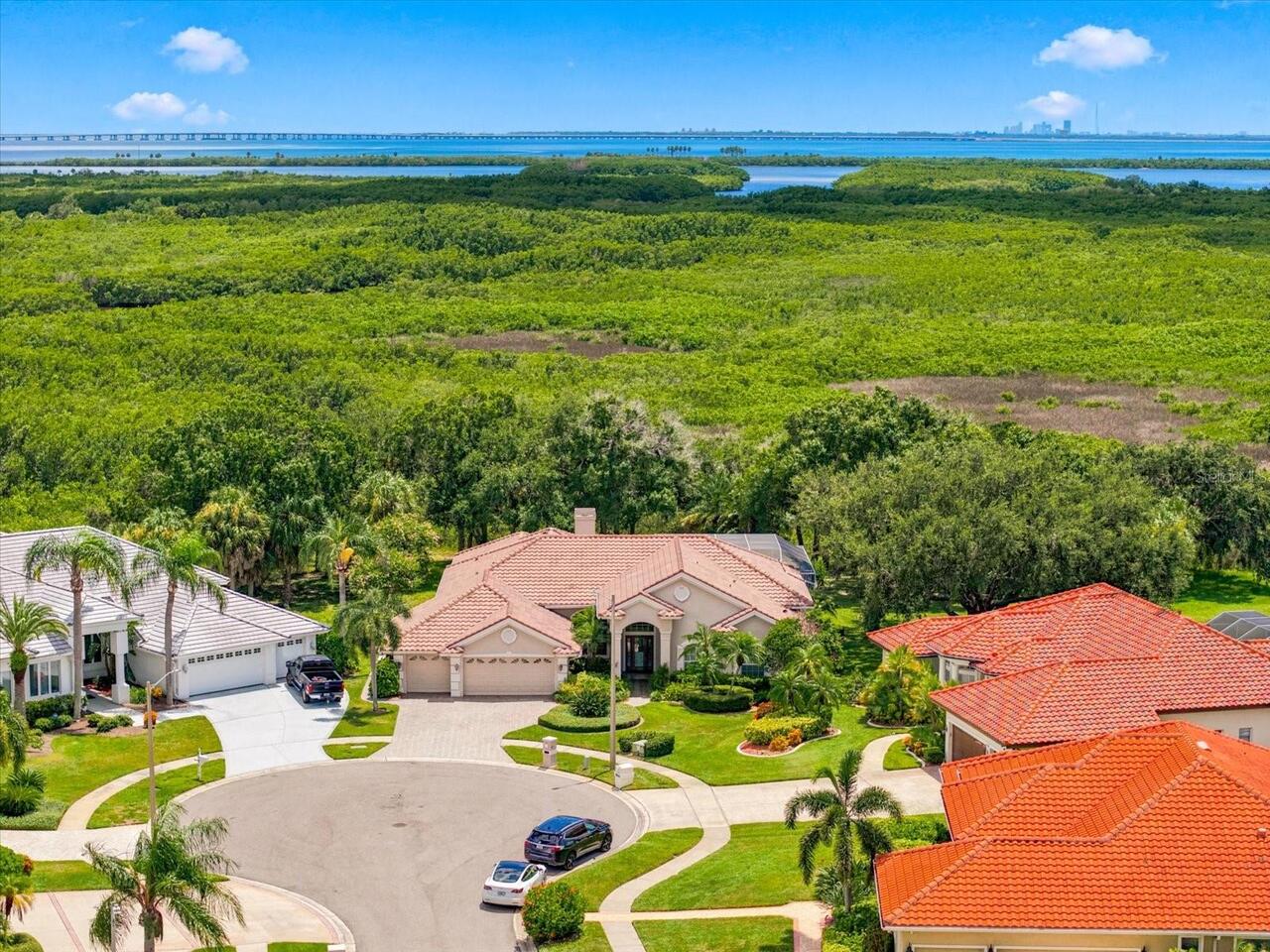 Tampa Real Estate