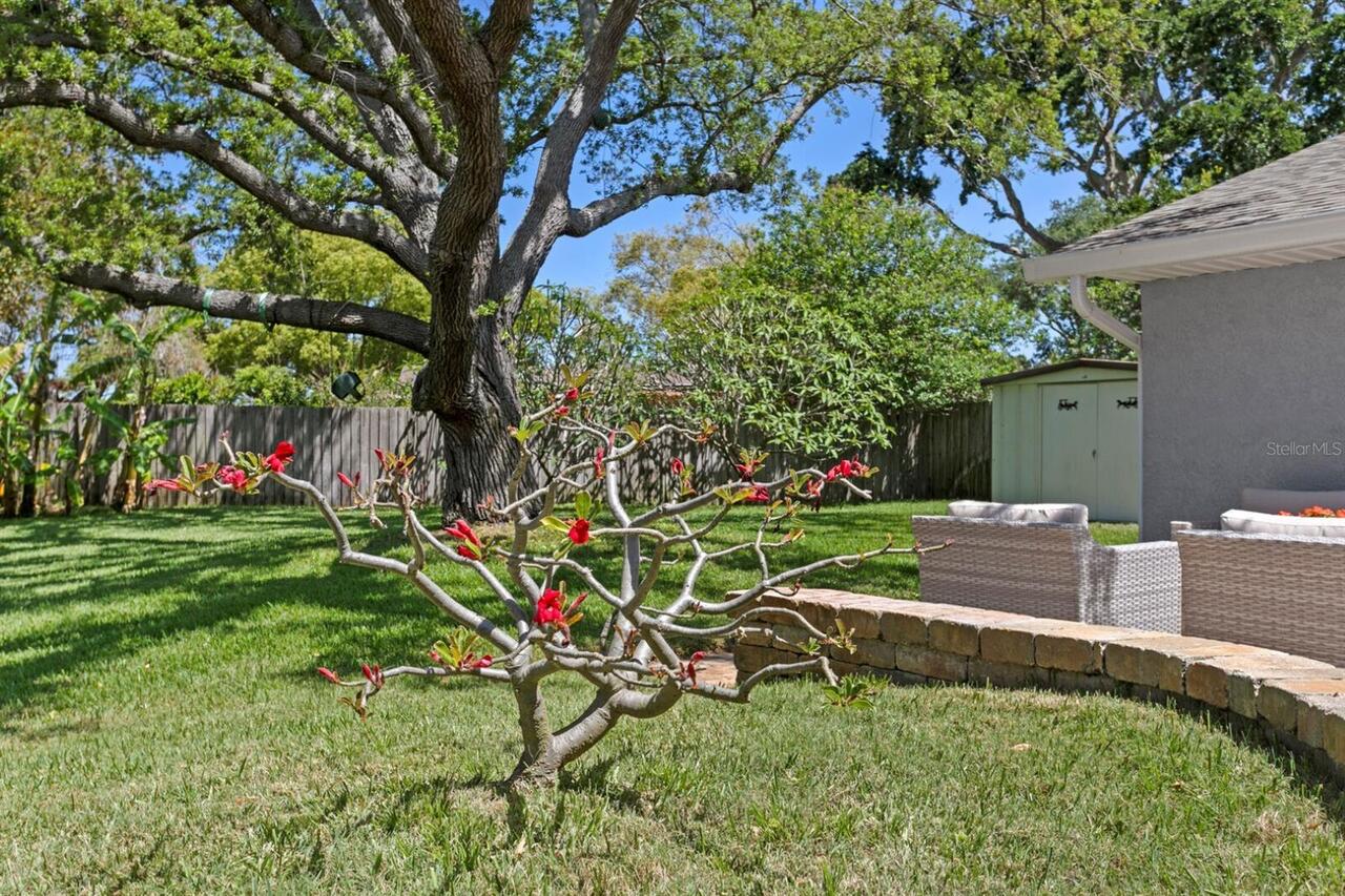 Listing Photo 42