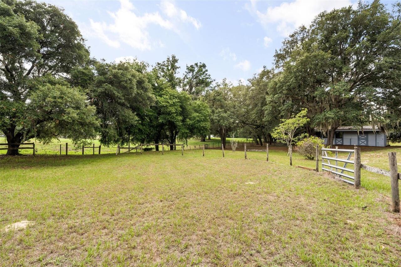 Listing Photo 8