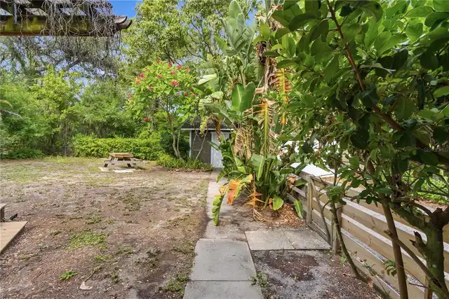 Listing Photo 31