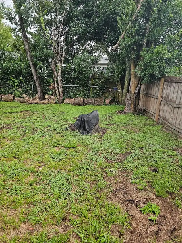 Listing Photo 23