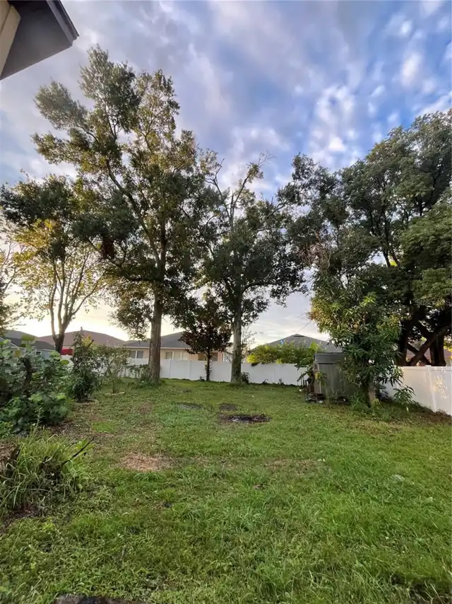 Listing Photo 19