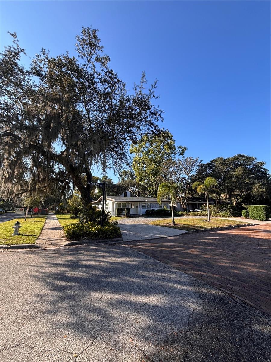 Winter Park Real Estate