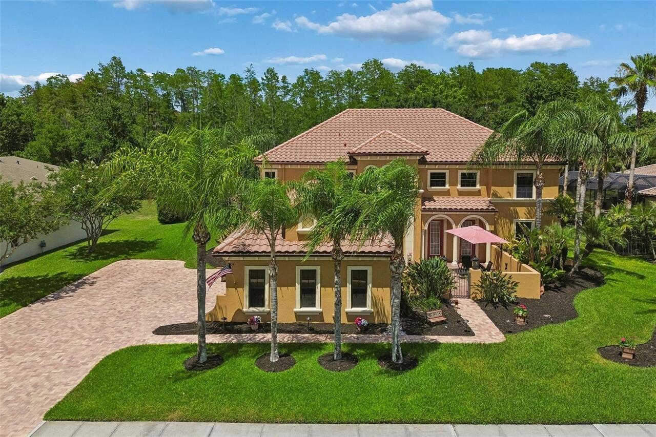 Land O Lakes Real Estate
