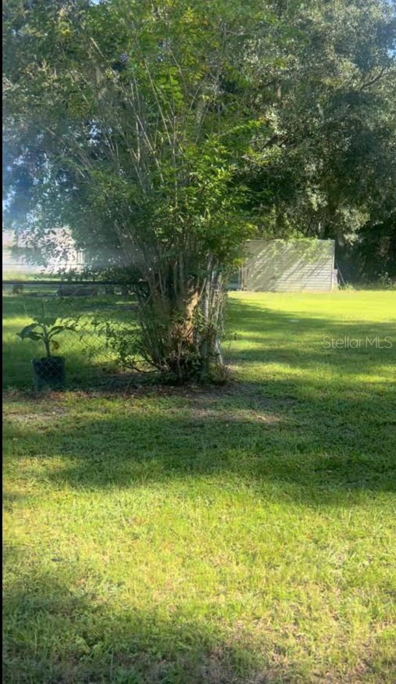 Listing Photo 9