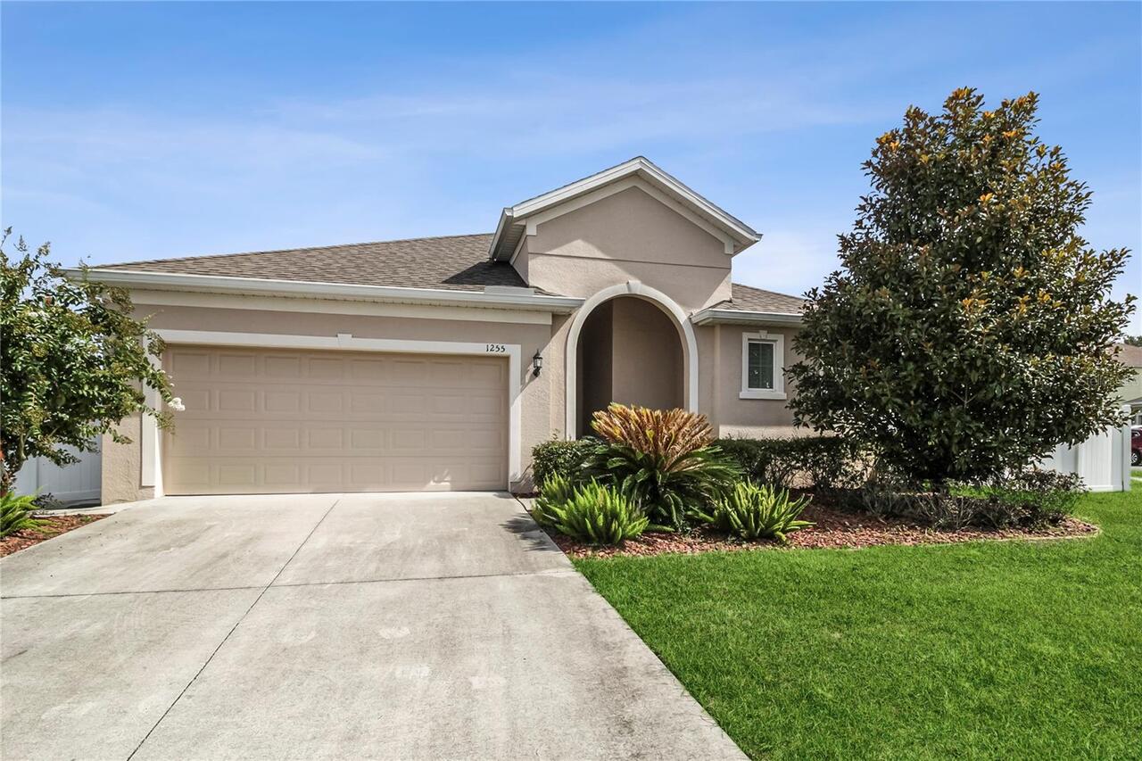 Mount Dora Real Estate