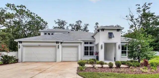 Lutz Real Estate