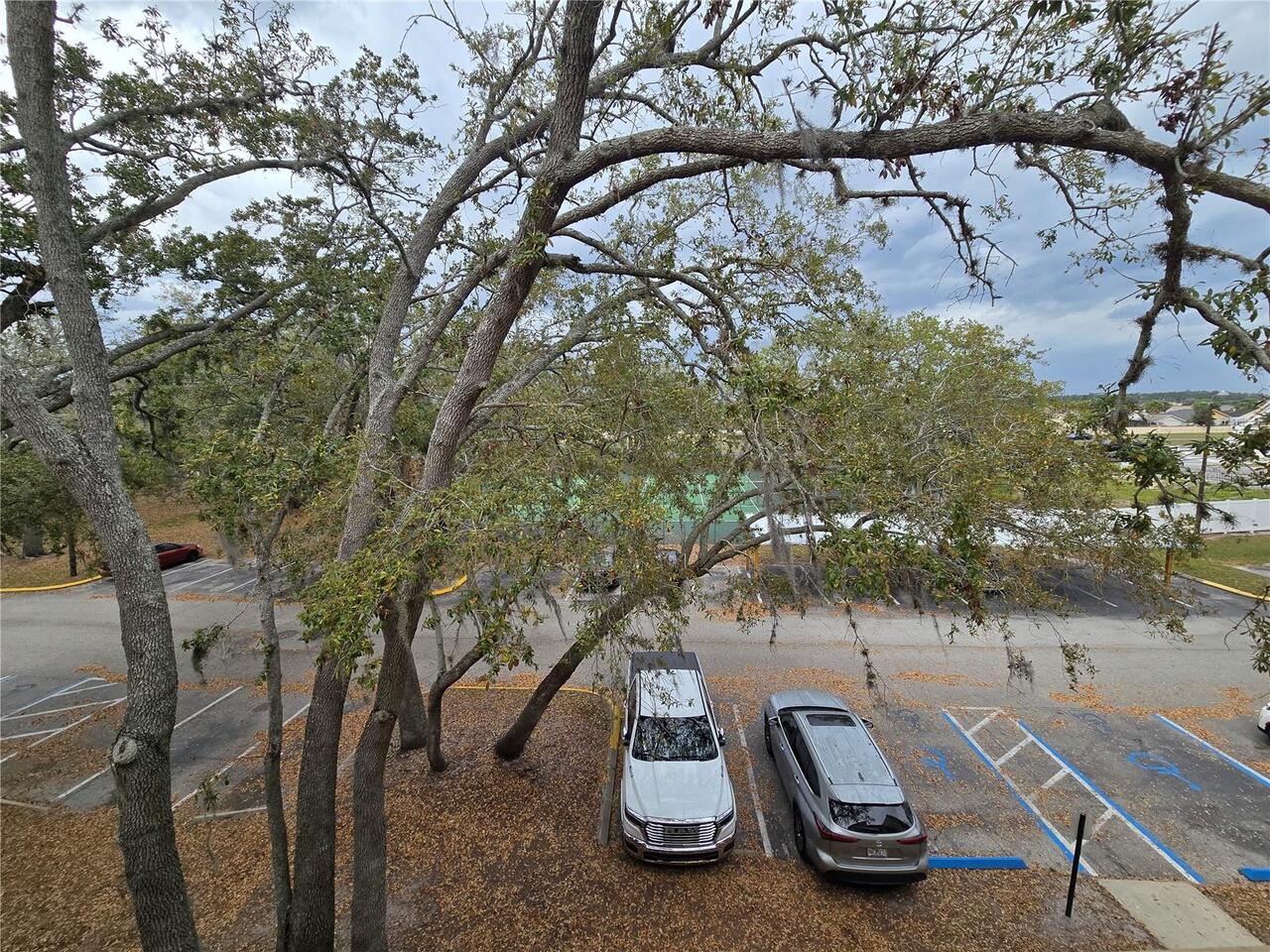 Listing Photo 23