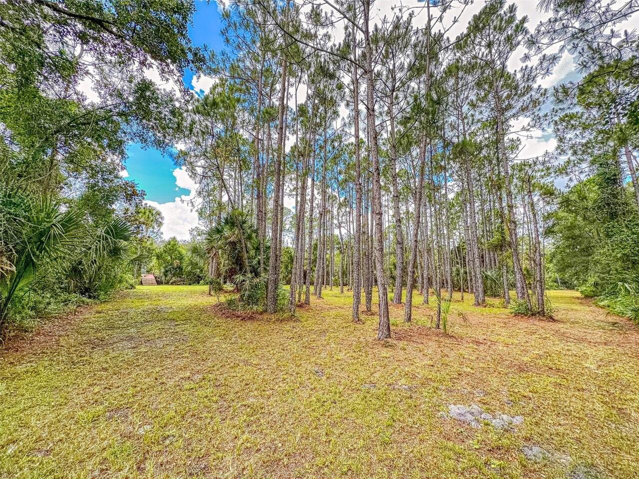 Listing Photo 67