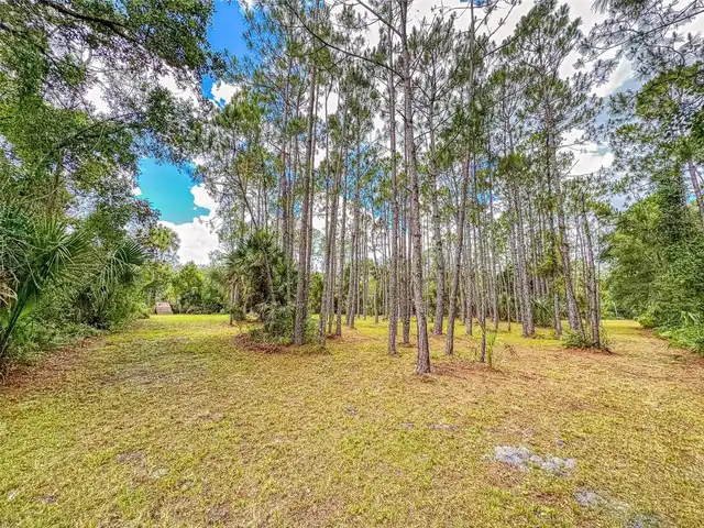 Listing Photo 67