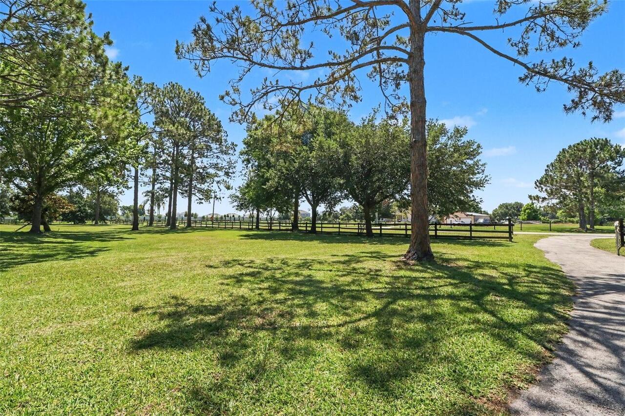 Listing Photo 35