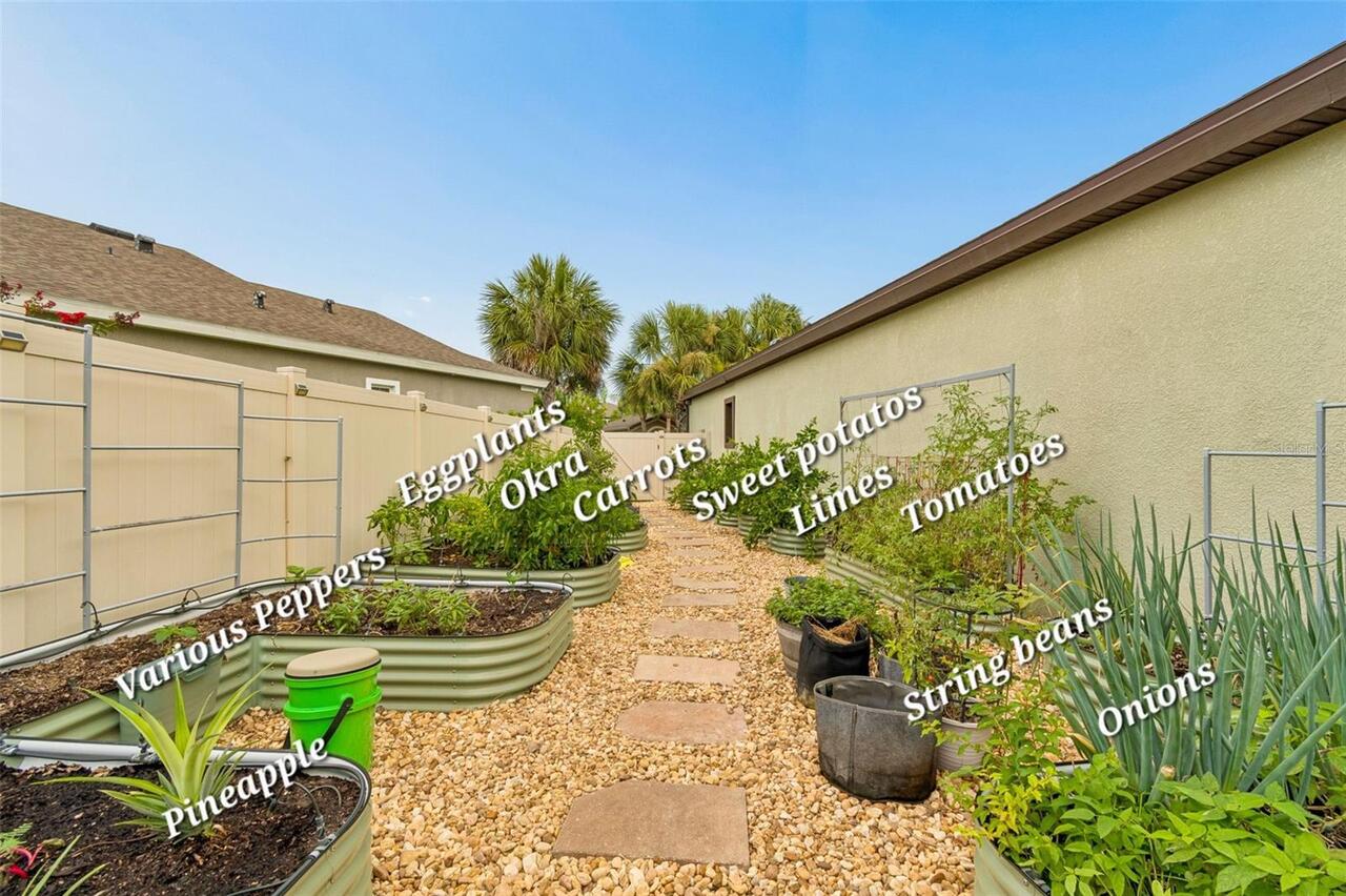 Listing Photo 49