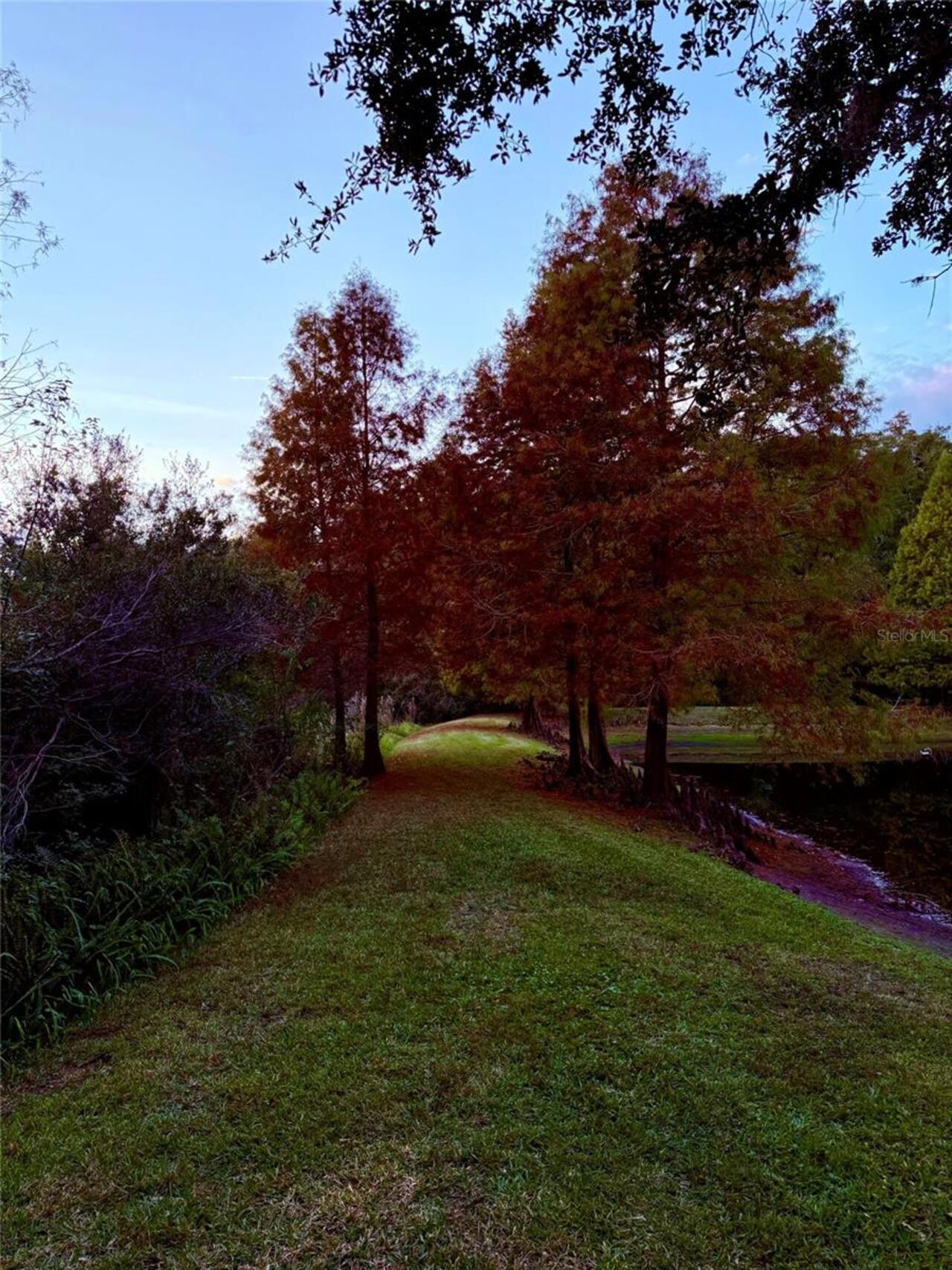 Listing Photo 51
