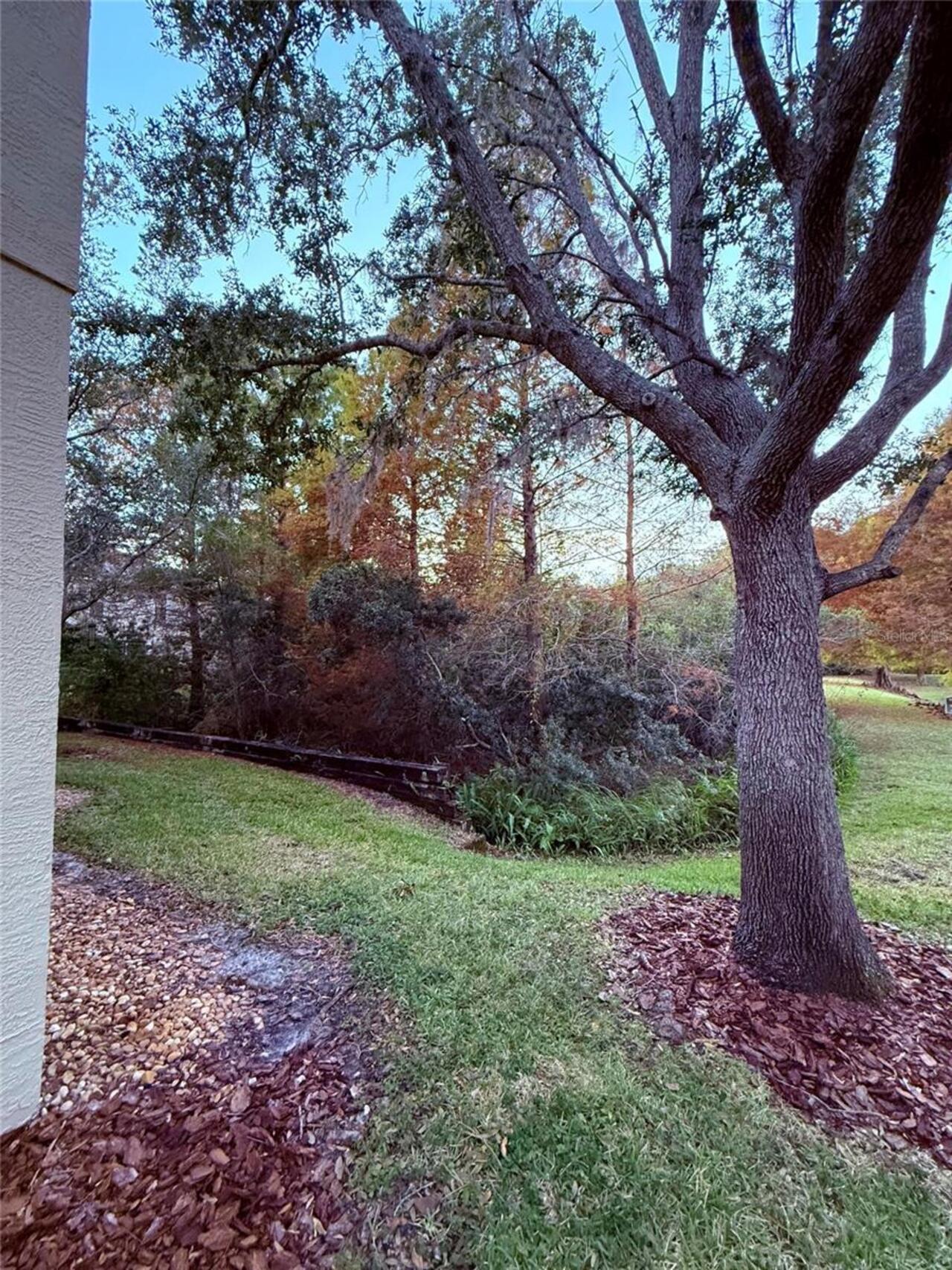 Listing Photo 52