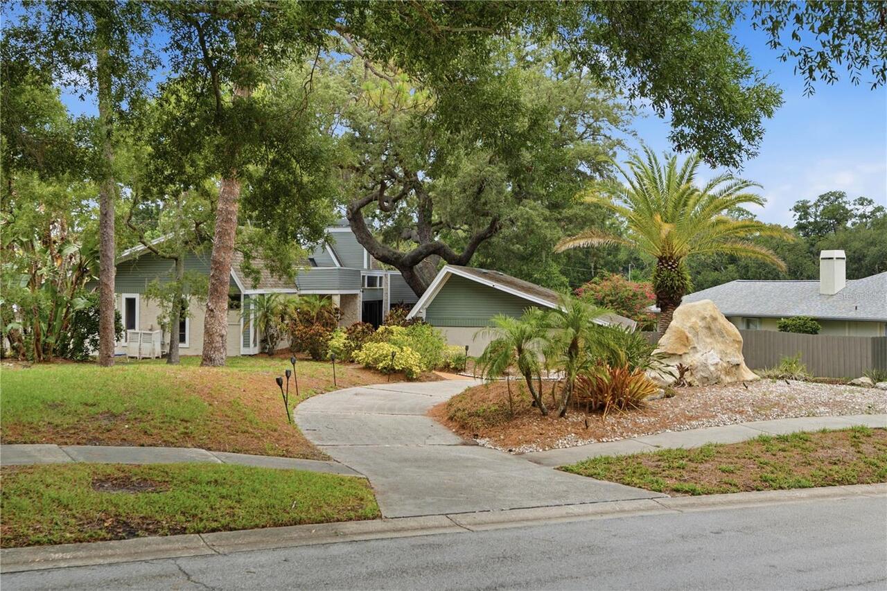 Palm Harbor Real Estate