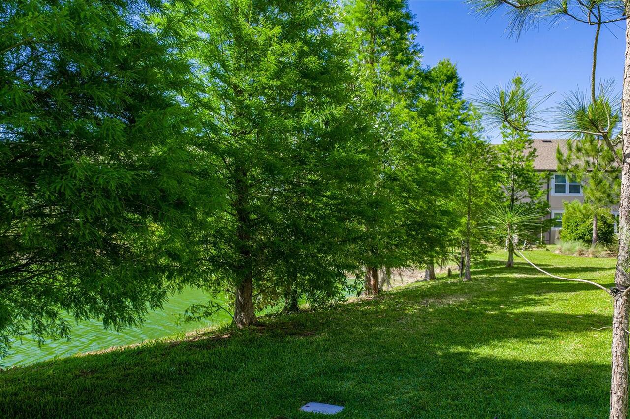 Listing Photo 34