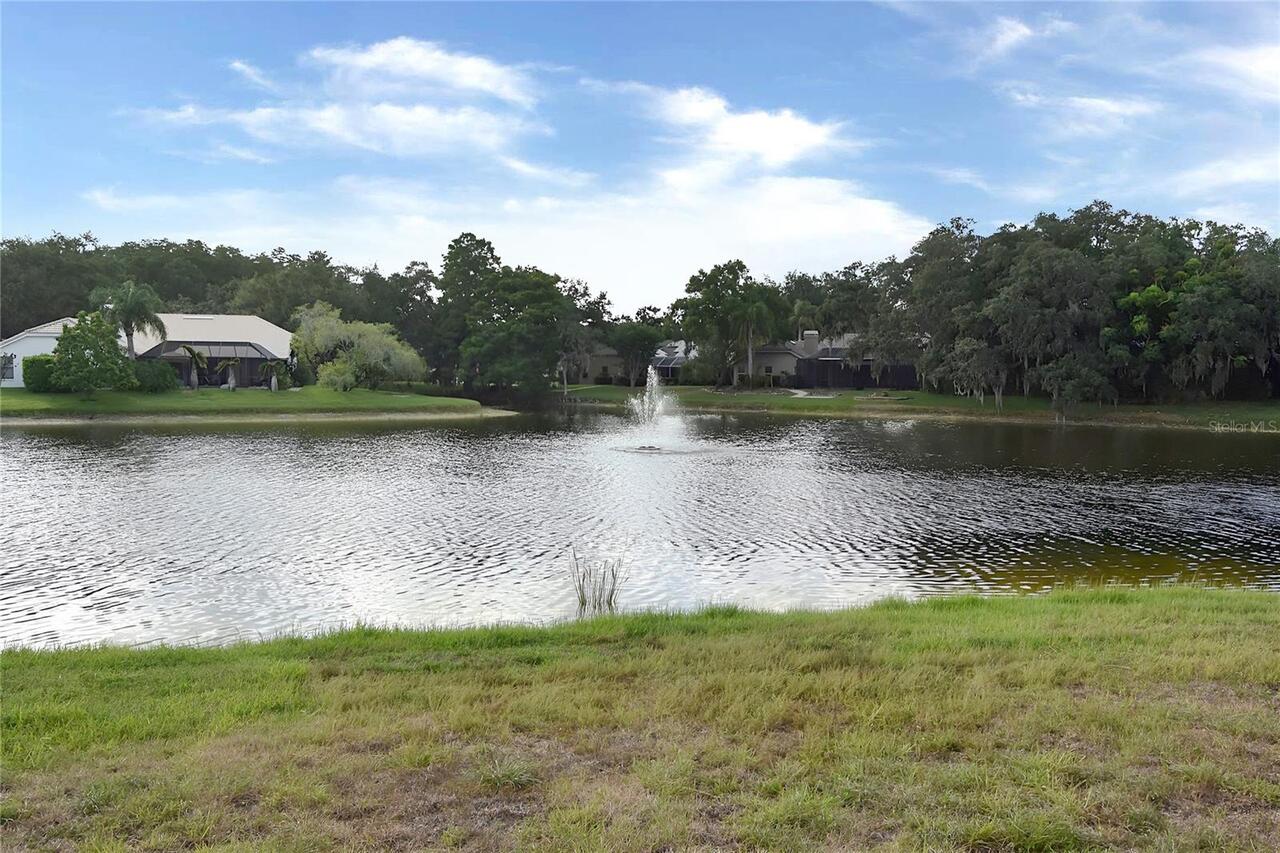 Listing Photo 39