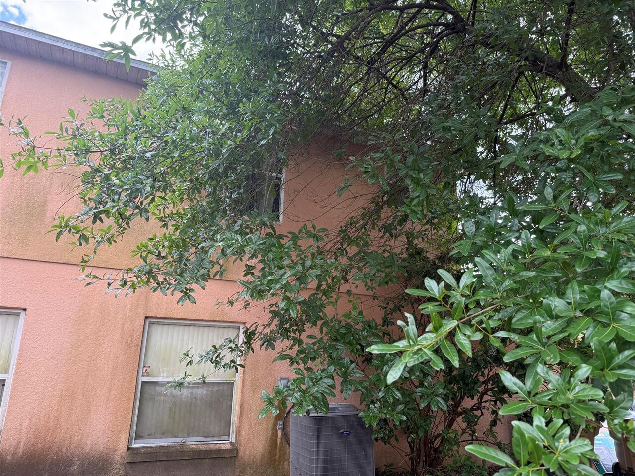 Listing Photo 52