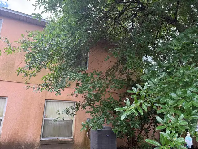 Listing Photo 52