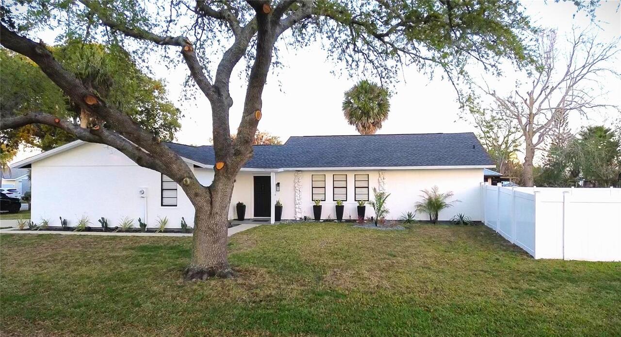 New Smyrna Beach Real Estate