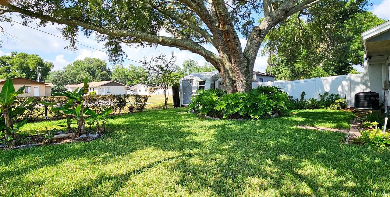 Listing Photo 19