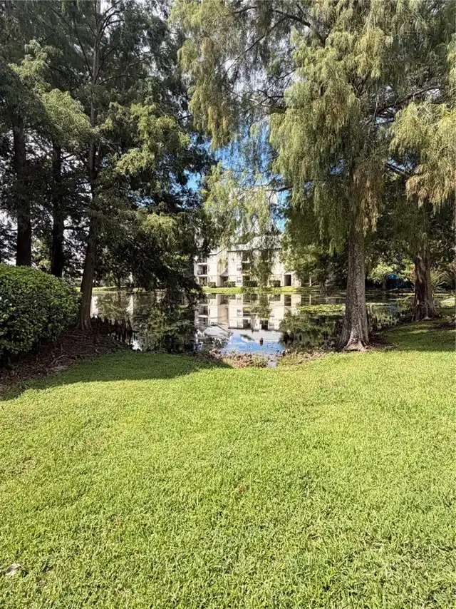Listing Photo 14