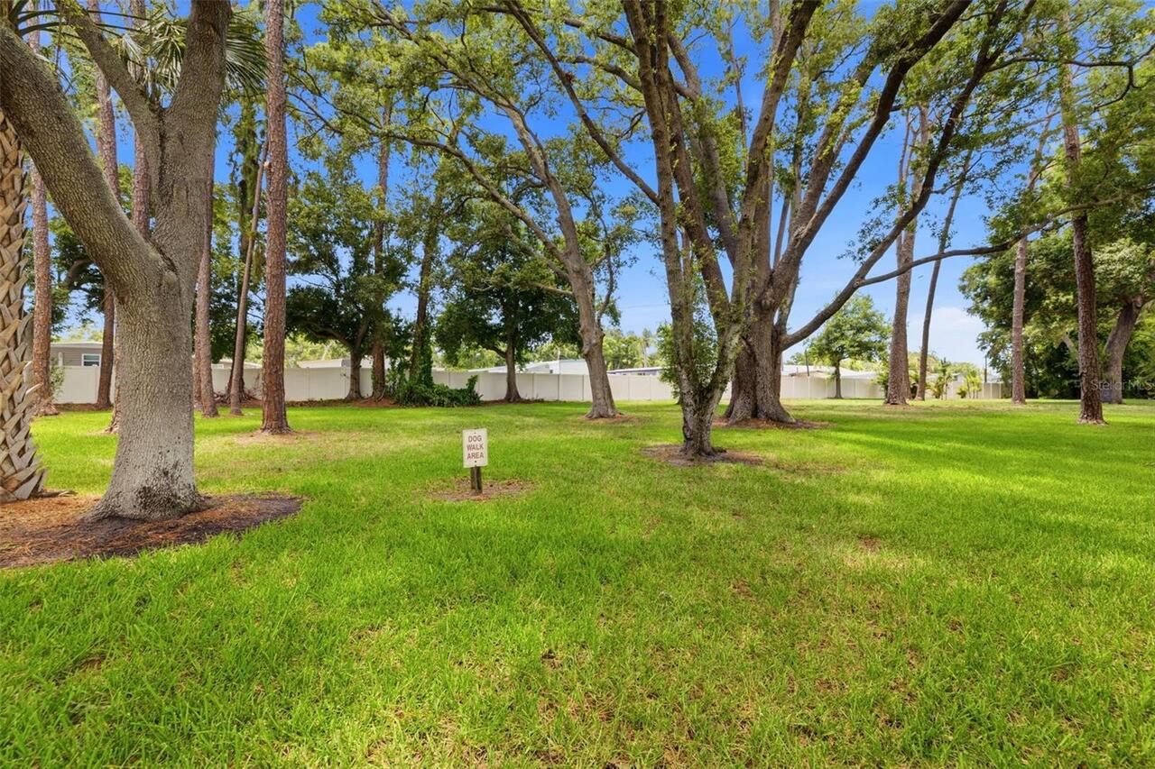 Listing Photo 29
