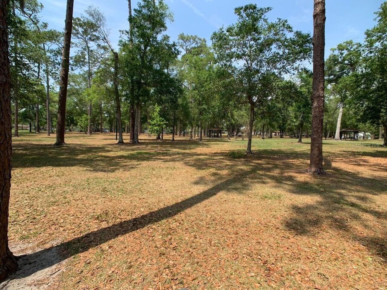 Listing Photo 46