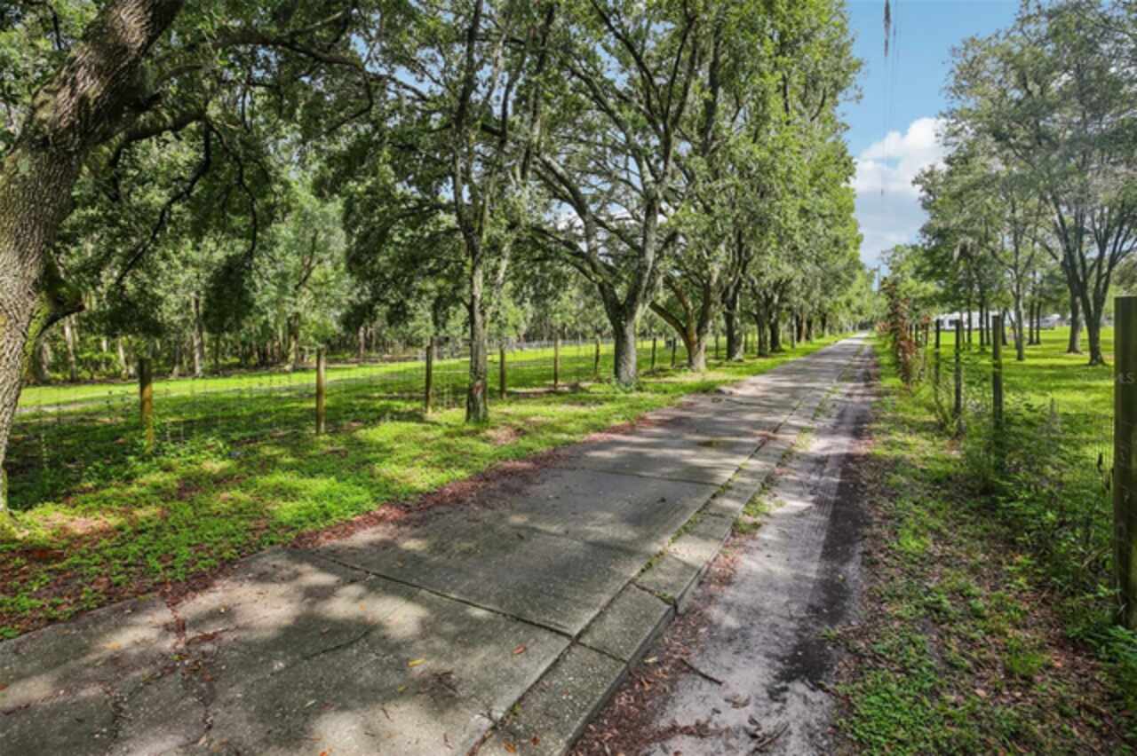 Listing Photo 7