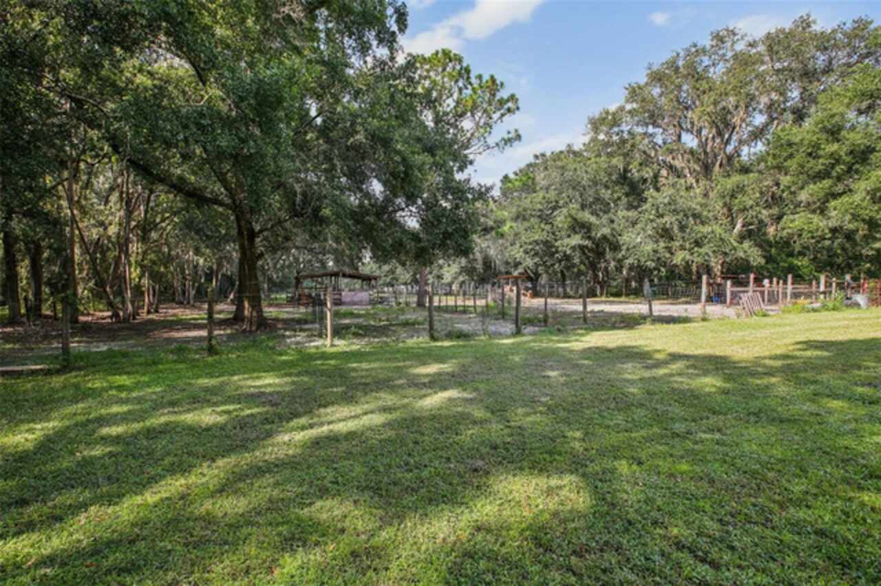 Listing Photo 25