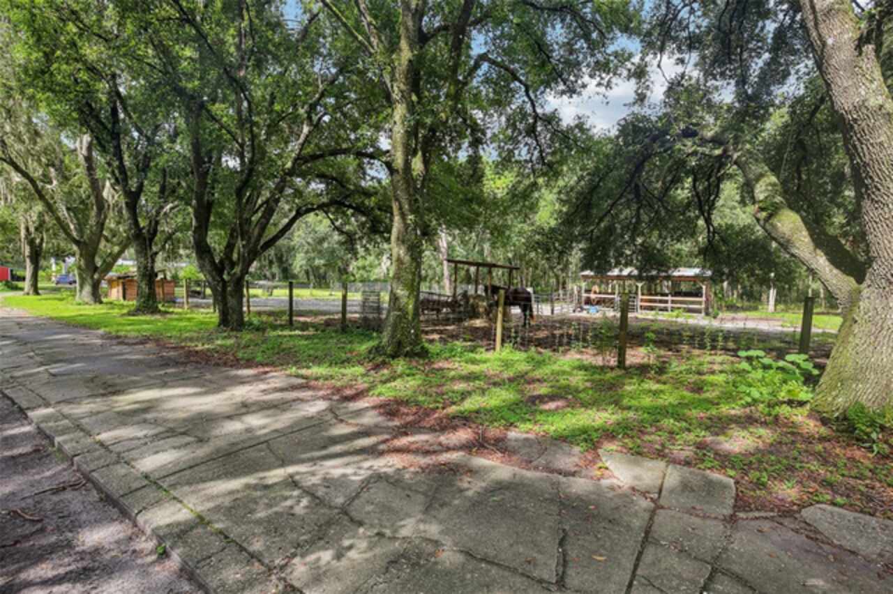 Listing Photo 29