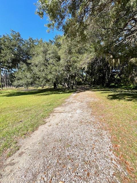 Listing Photo 18