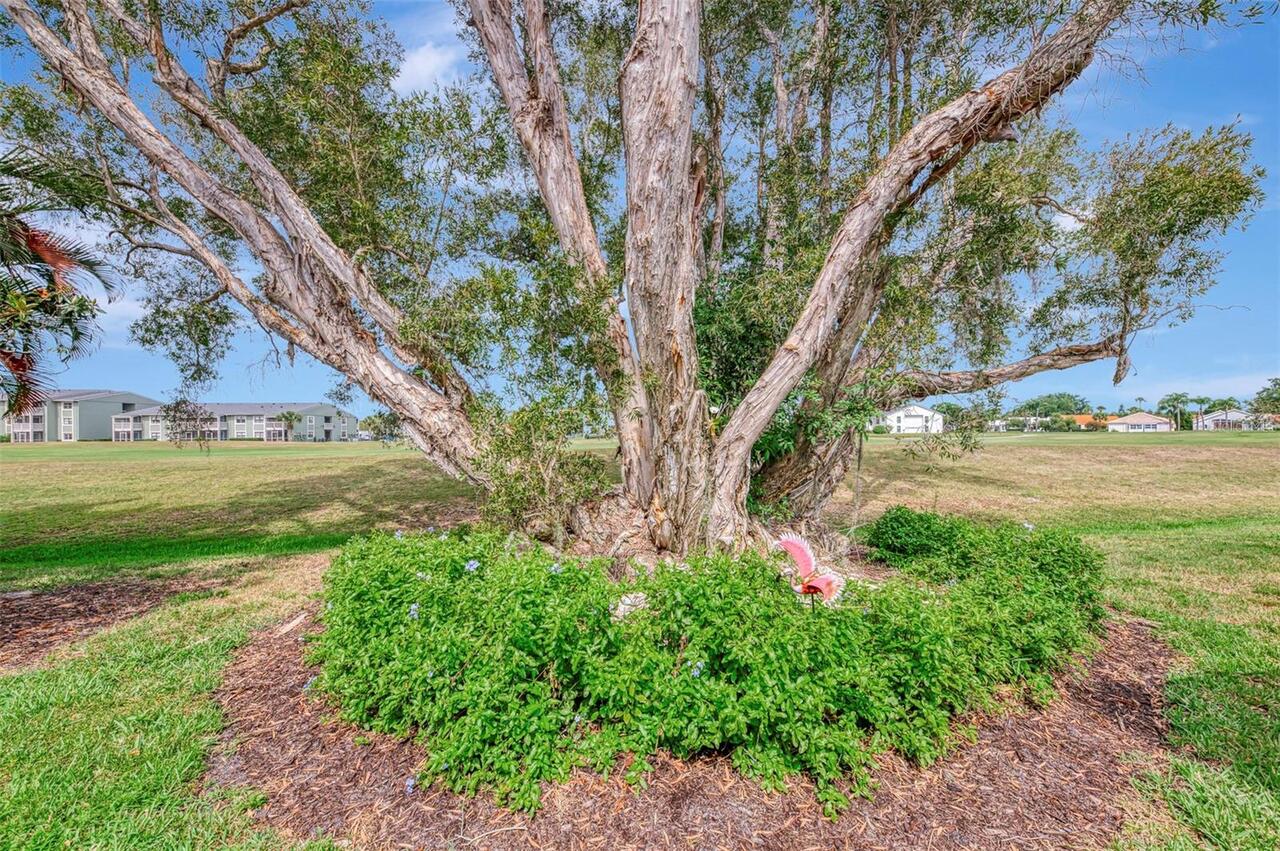 Listing Photo 45